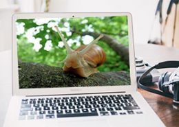 Slow Wordpress Website Loading Can Be Easily Fixed In A Few Steps 87 slow website loading