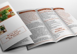Mortgage Brochure- Design