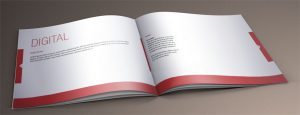 Corporate Identity Inside Pages